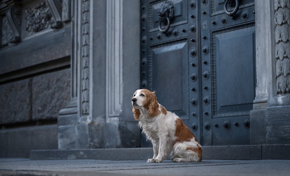 Photograph by Наталия Иванова