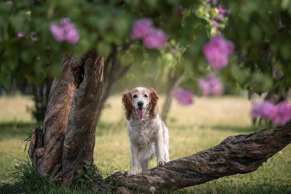 Photograph by Наталия Иванова