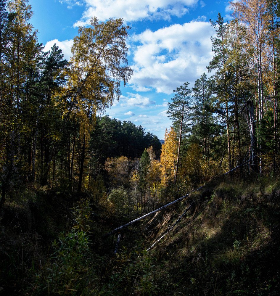 Photograph by Данила Татауров