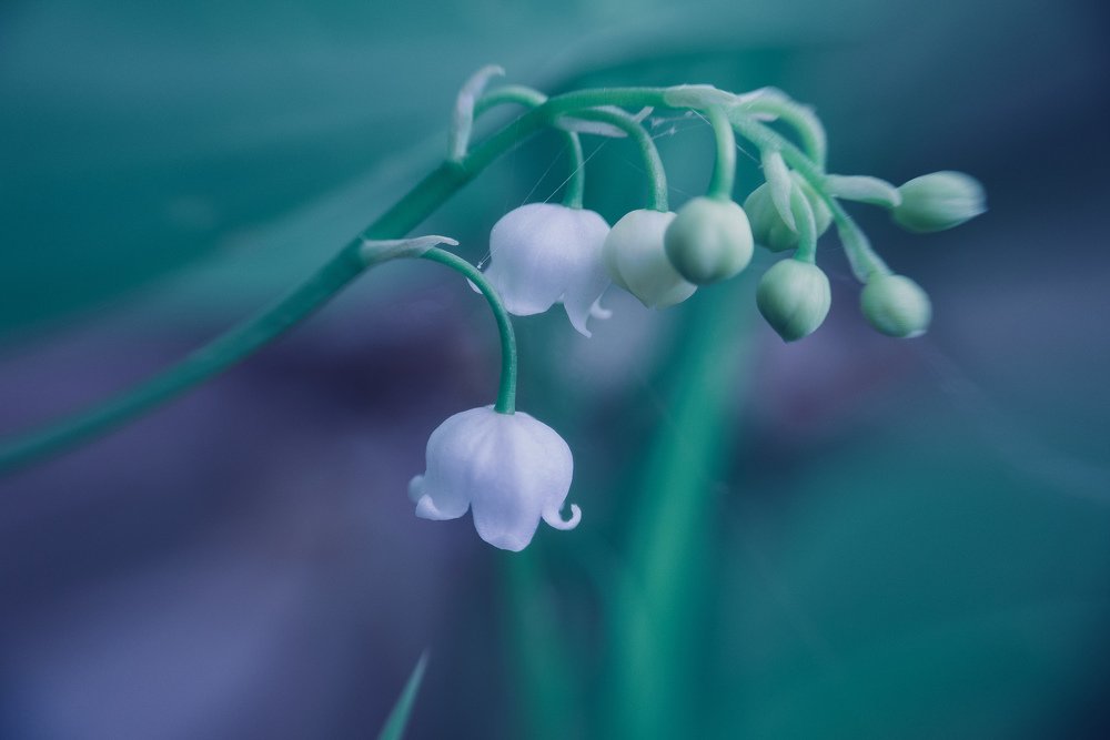 Photograph by Марина Гаврилова