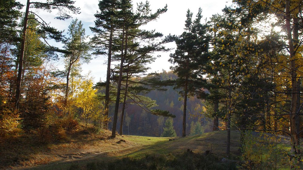 Autumn Landscape