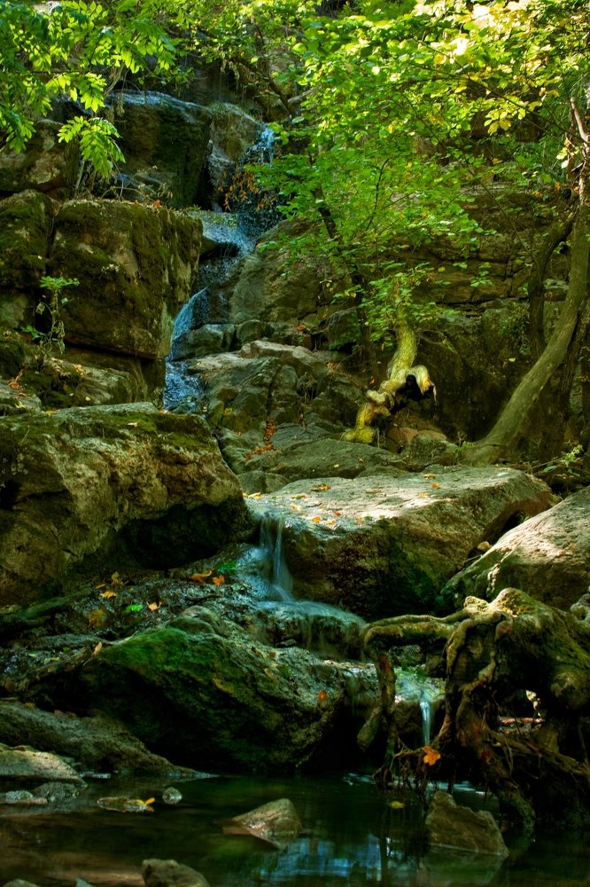 Вход в  страну фей