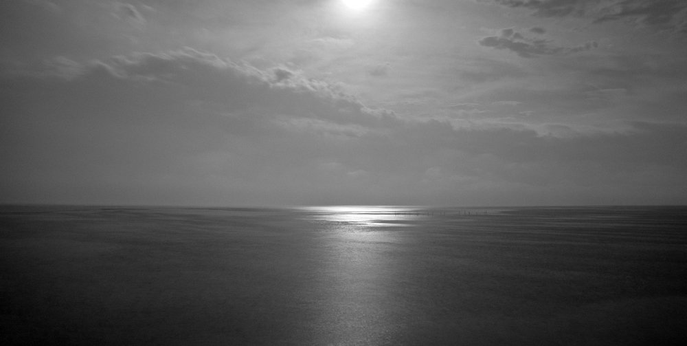 Moonlight