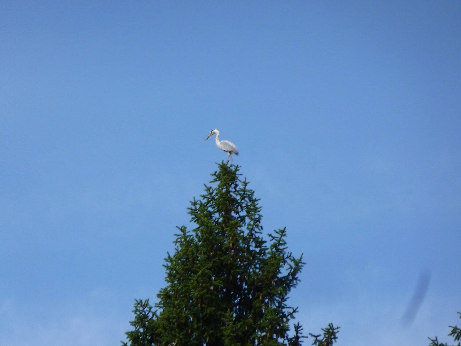 Photo #5043440