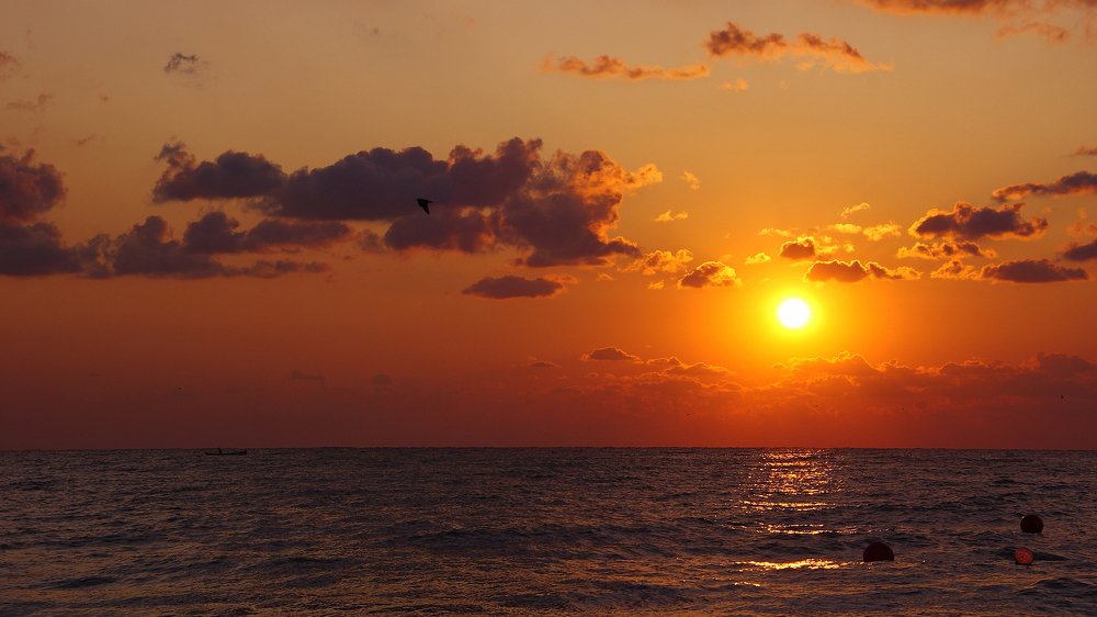 Seascape