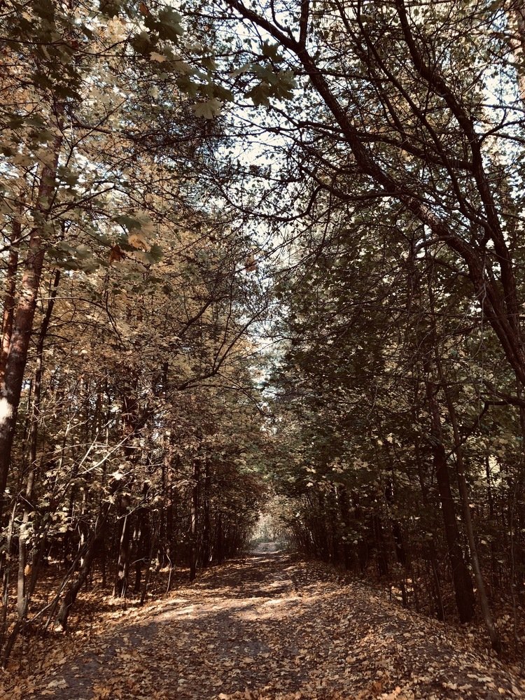 Photograph by людмила жукова