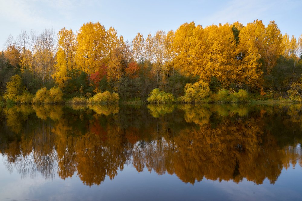 Photograph by Александр Карпинец