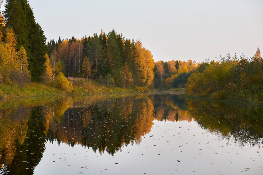 Photograph by Александр Карпинец