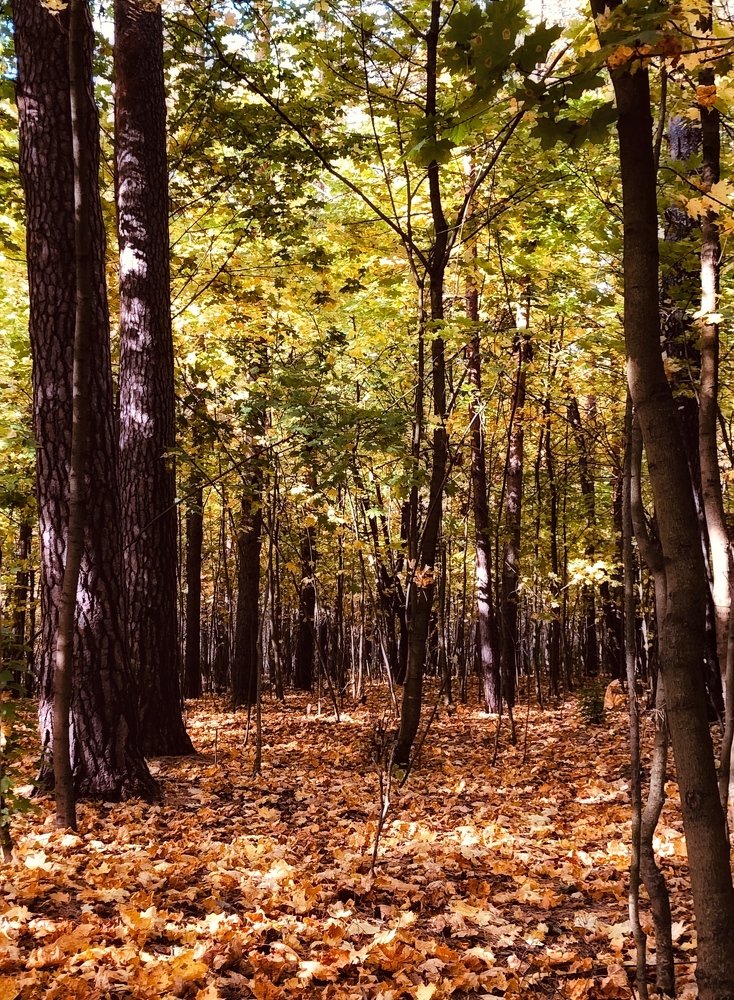 Photograph by людмила жукова