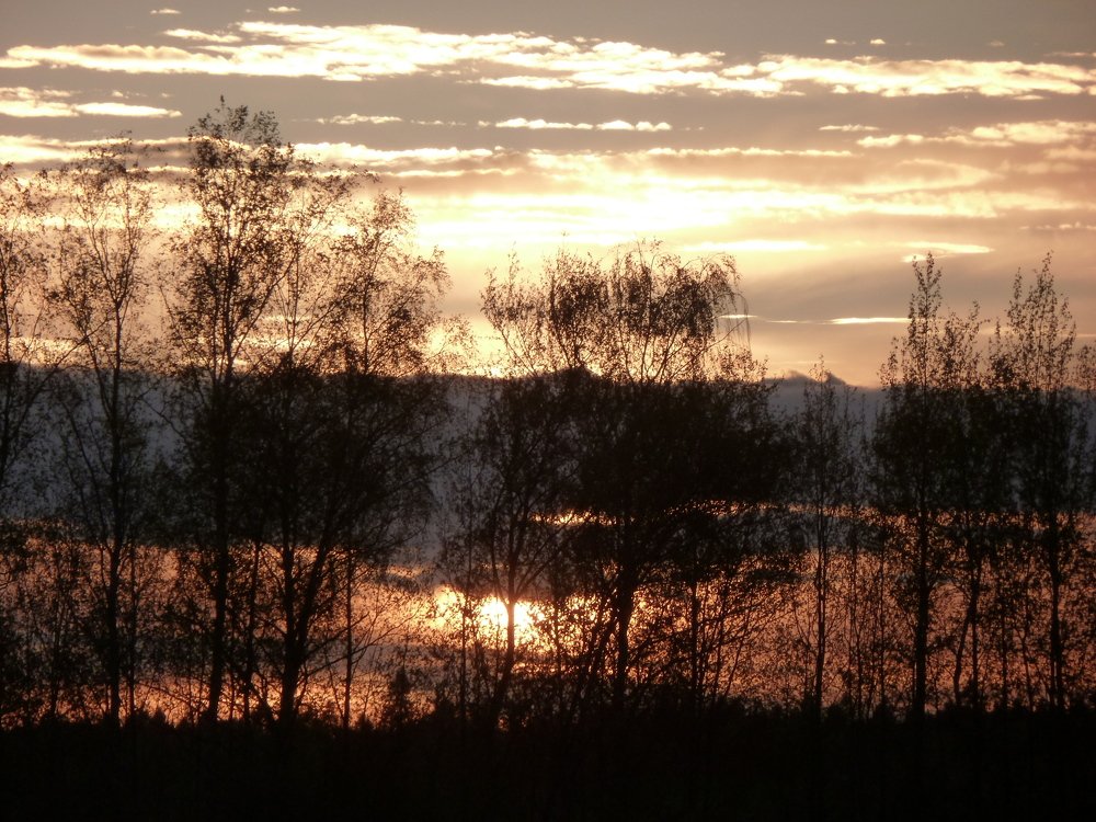 Photo #5043631