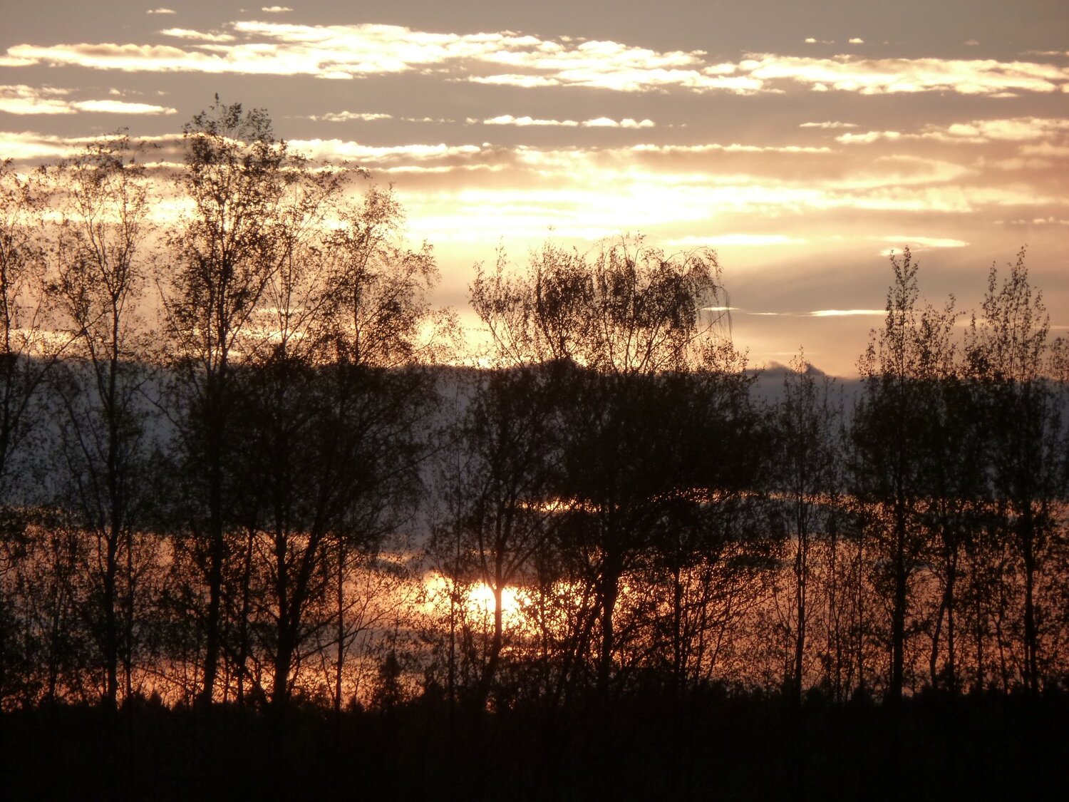 Photo #5043631