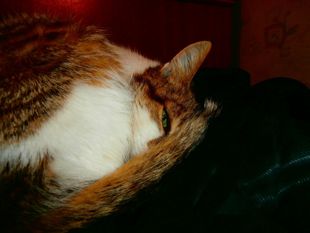 Фотография автора Артемий Николаевич