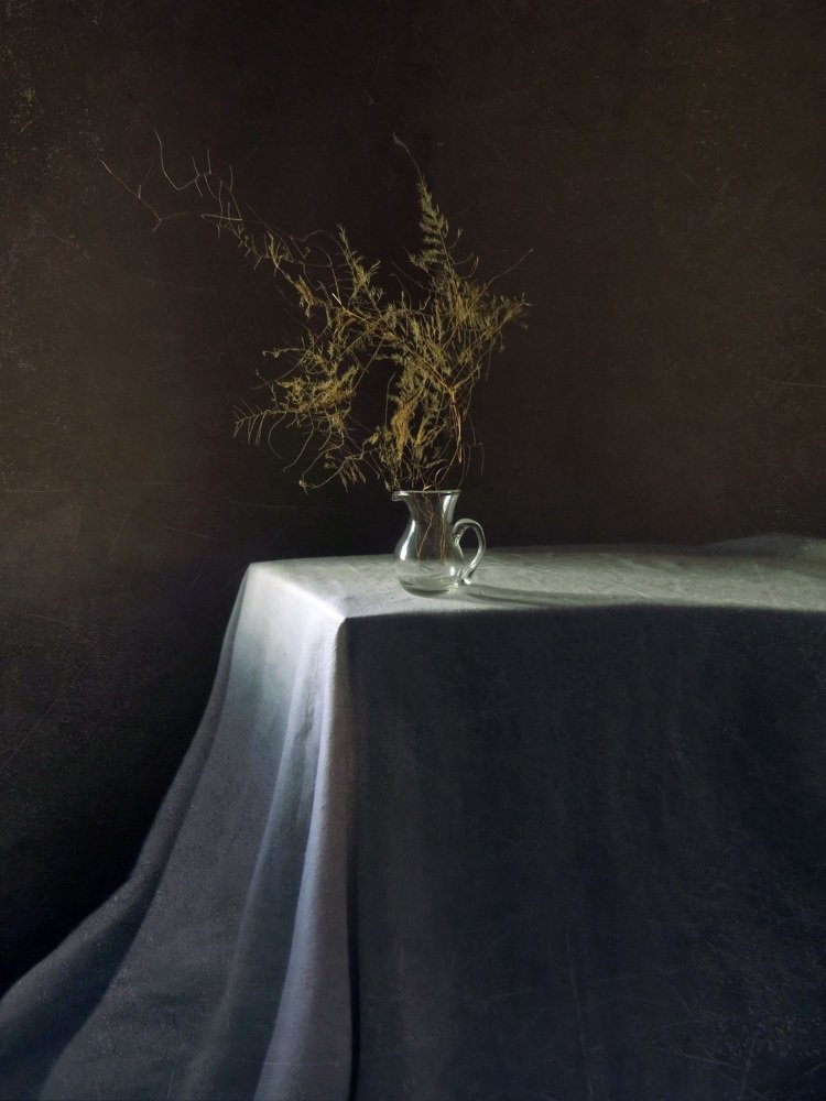 Фотография автора Елена Лысенко