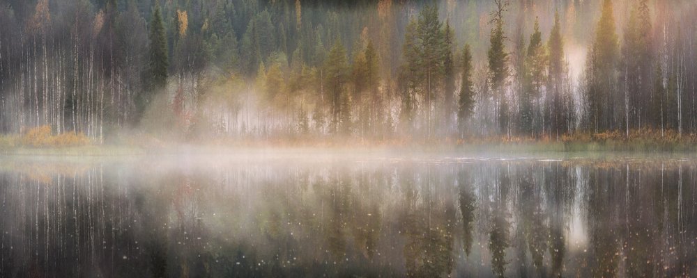 Photograph by Сергей Кочергин