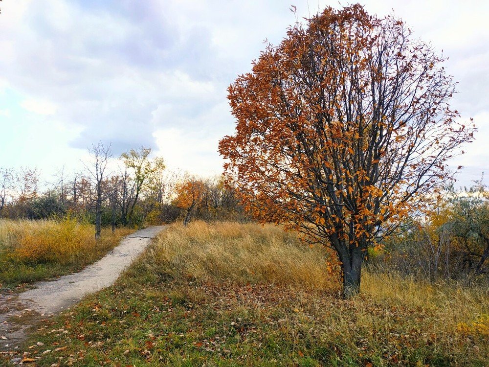 Photograph by Karina Yakovleva