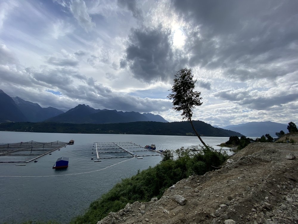 Photograph by Jorge Bachler Muñoz