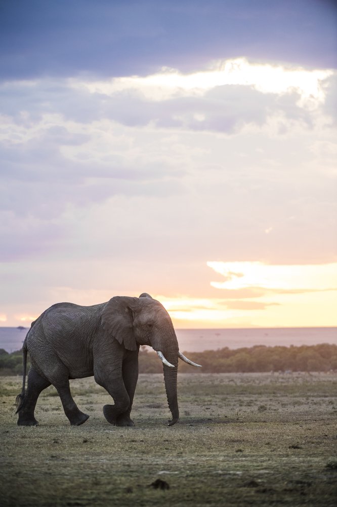 Photograph by Dhiraj Venkat