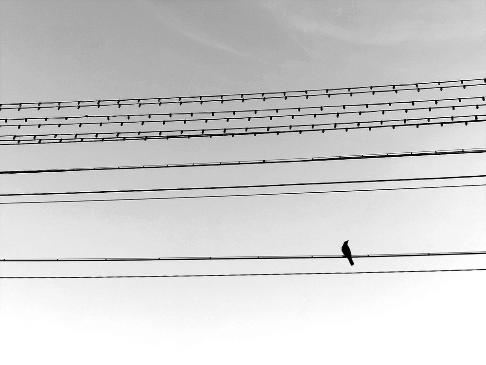 Photograph by Karina Yakovleva