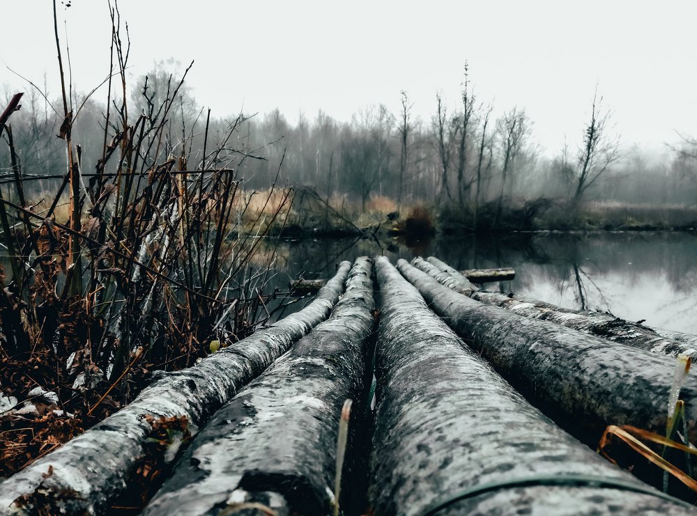 Photograph by Павел Агеев