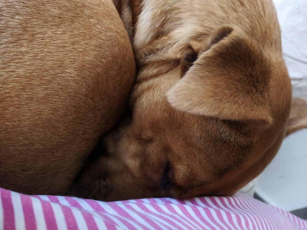 Photograph by Daniela