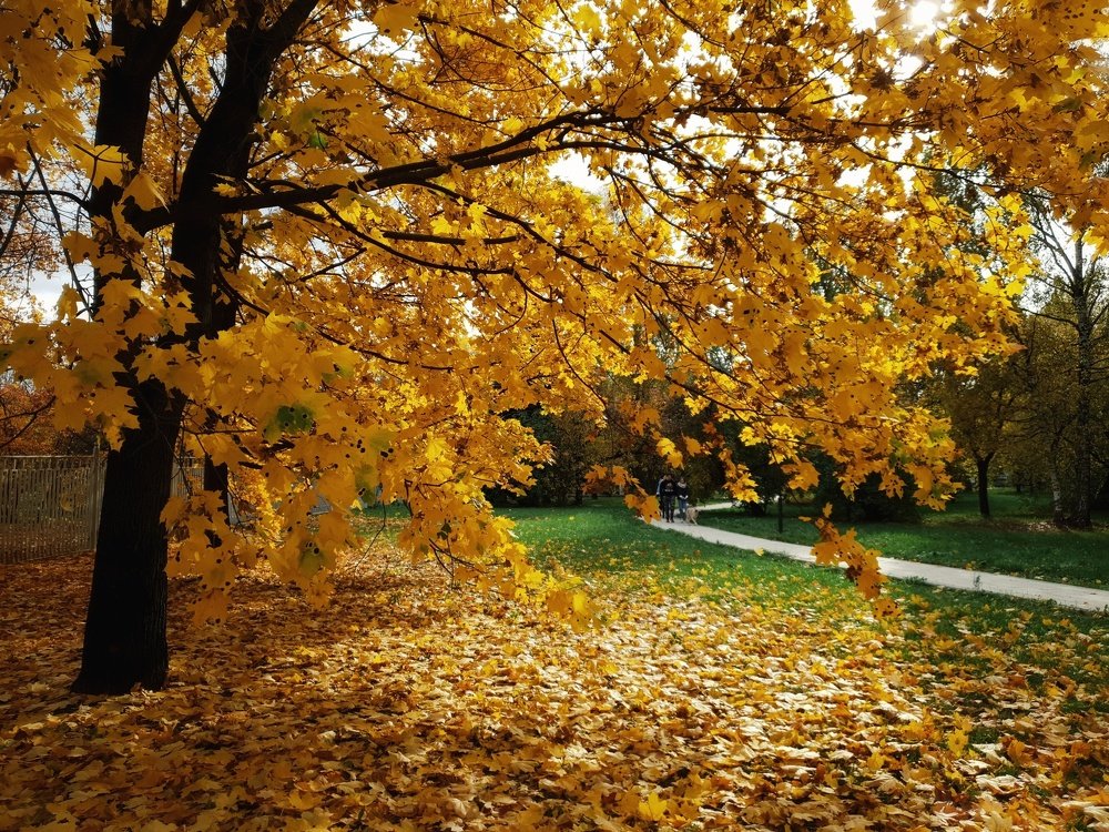 Photograph by Владимир Бакалов