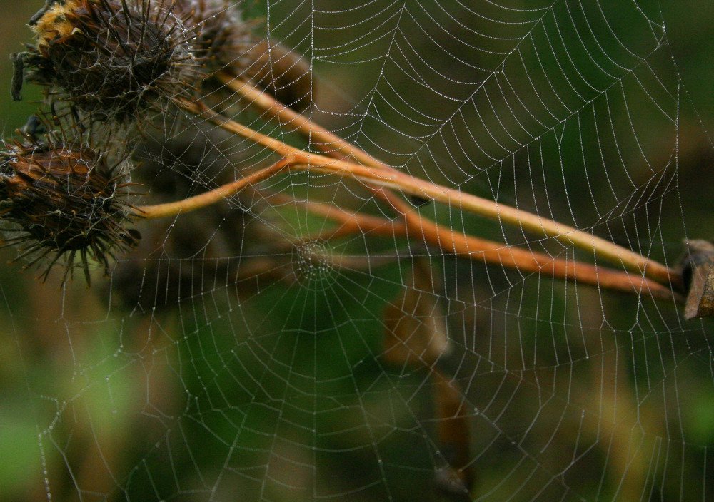 Photograph by Вадим Кондрат