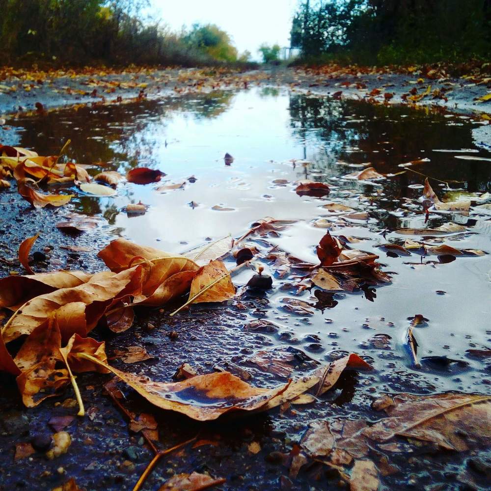 Photograph by Марина Комина