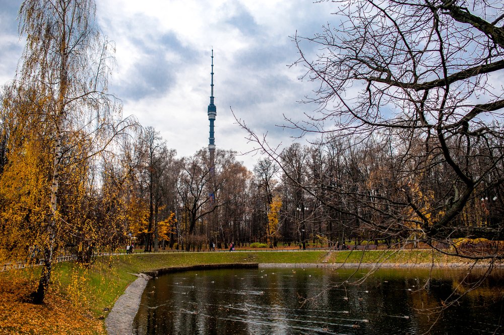 Фотография автора Дмитрий Мясников