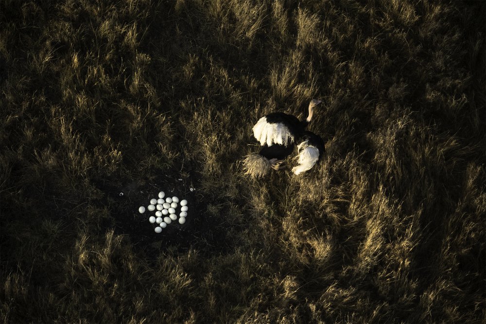 Photograph by Dhiraj Venkat