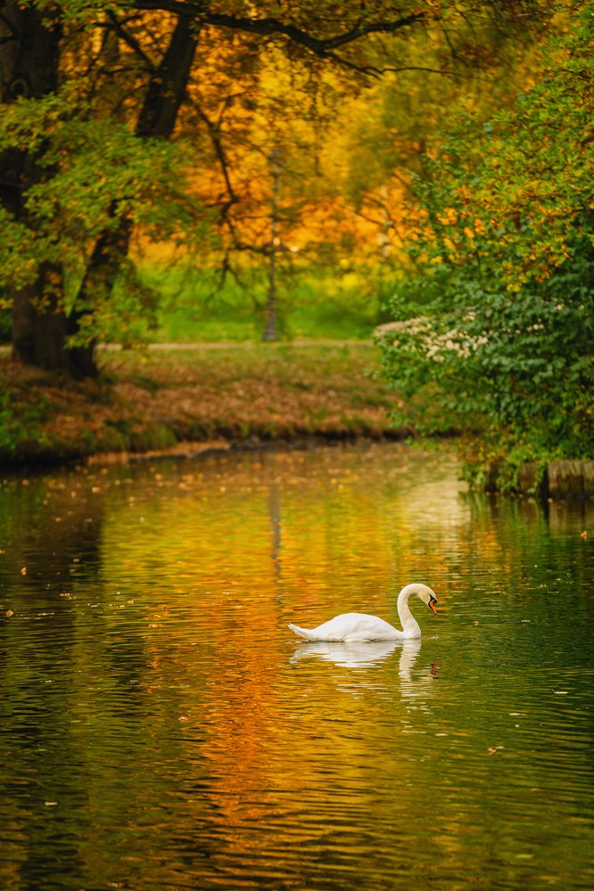 Photograph by Дмитрий Бекетов