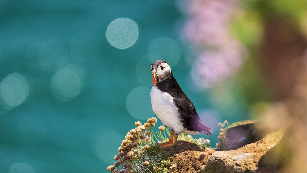 Photograph by Peter Krocka