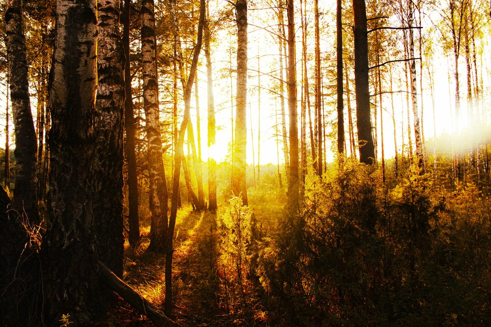 Photograph by Ангелина Карелина