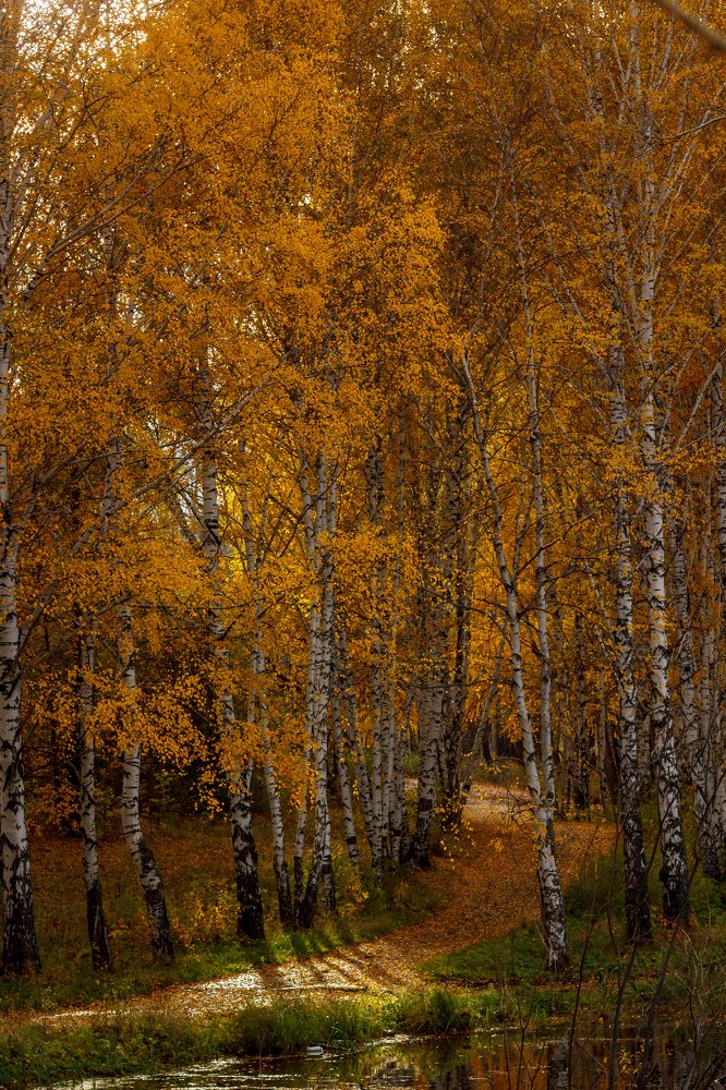 Фотография автора Дмитрий Мясников