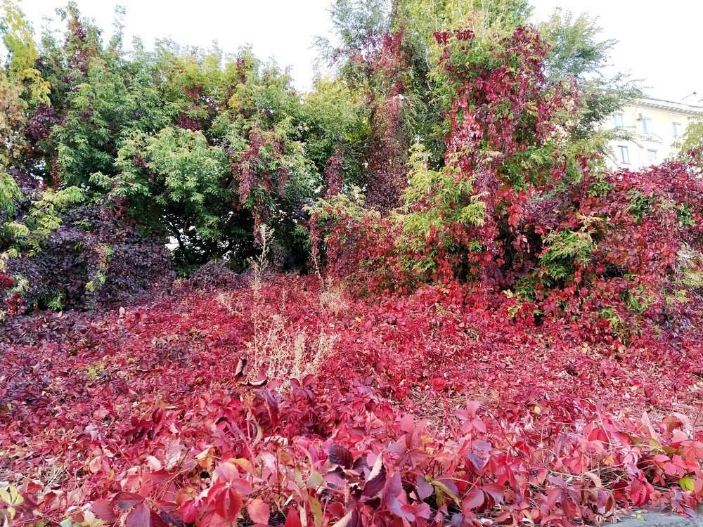 Photograph by Karina Yakovleva