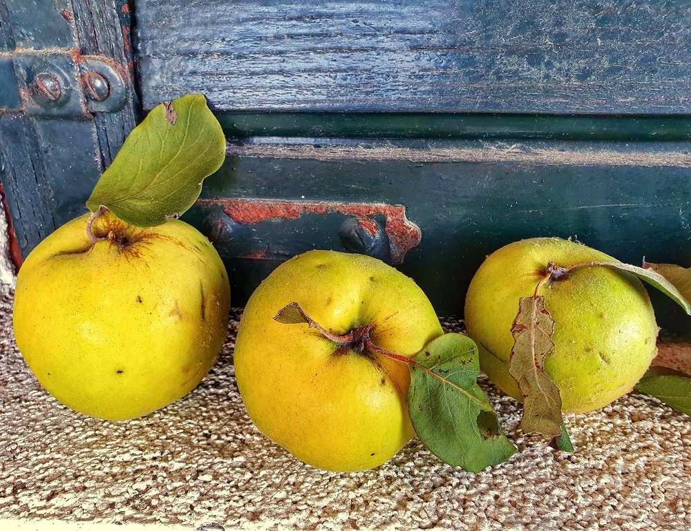 Photograph by Zrinka Balabanić