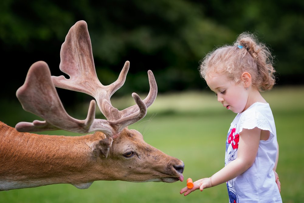 Photograph by Peter Krocka