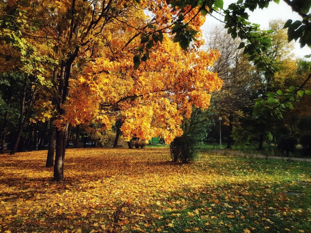 Photograph by Владимир Бакалов