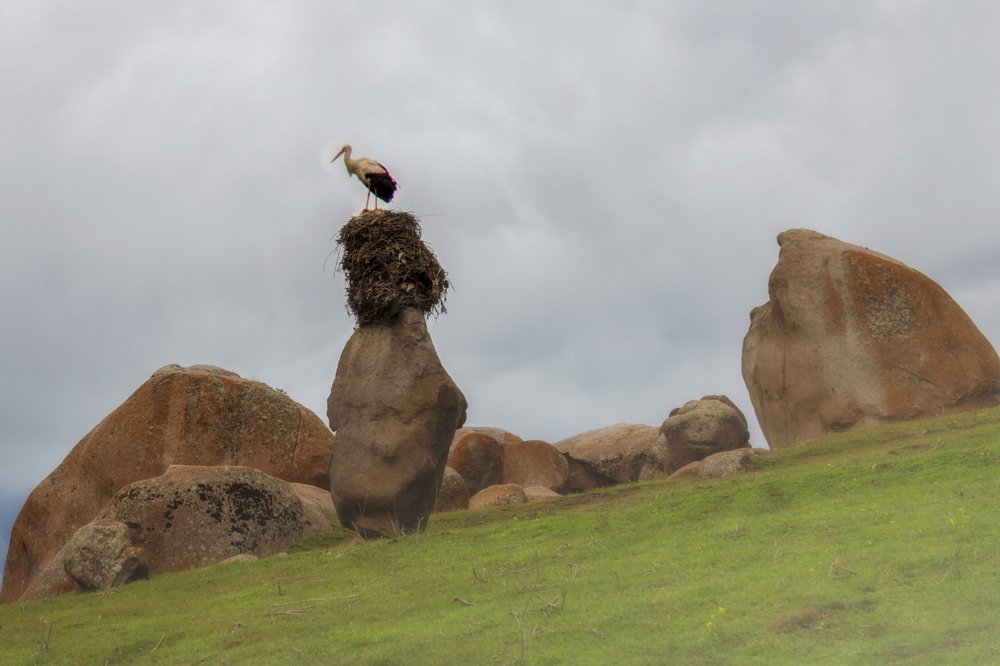 Photograph by Chia Hasankhali