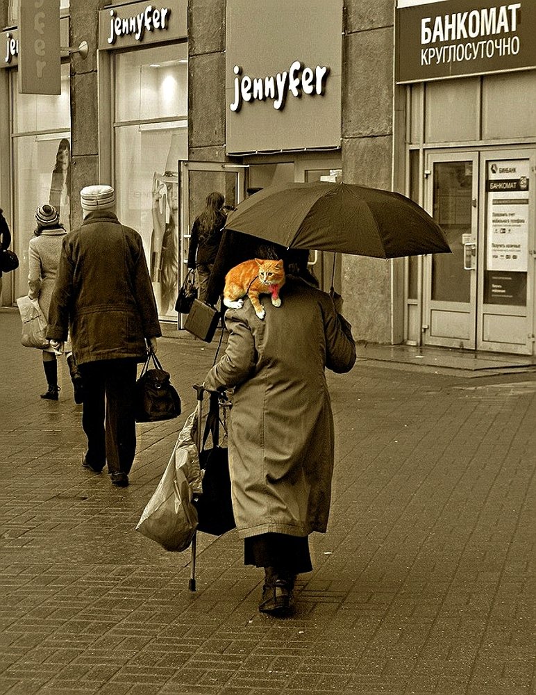 На прогулке...