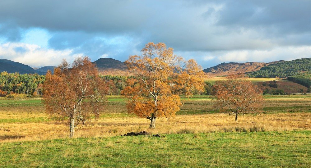 Photograph by Inga Butkovski