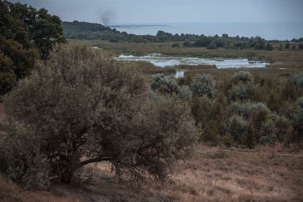 Photograph by Irina Stanislavskaya