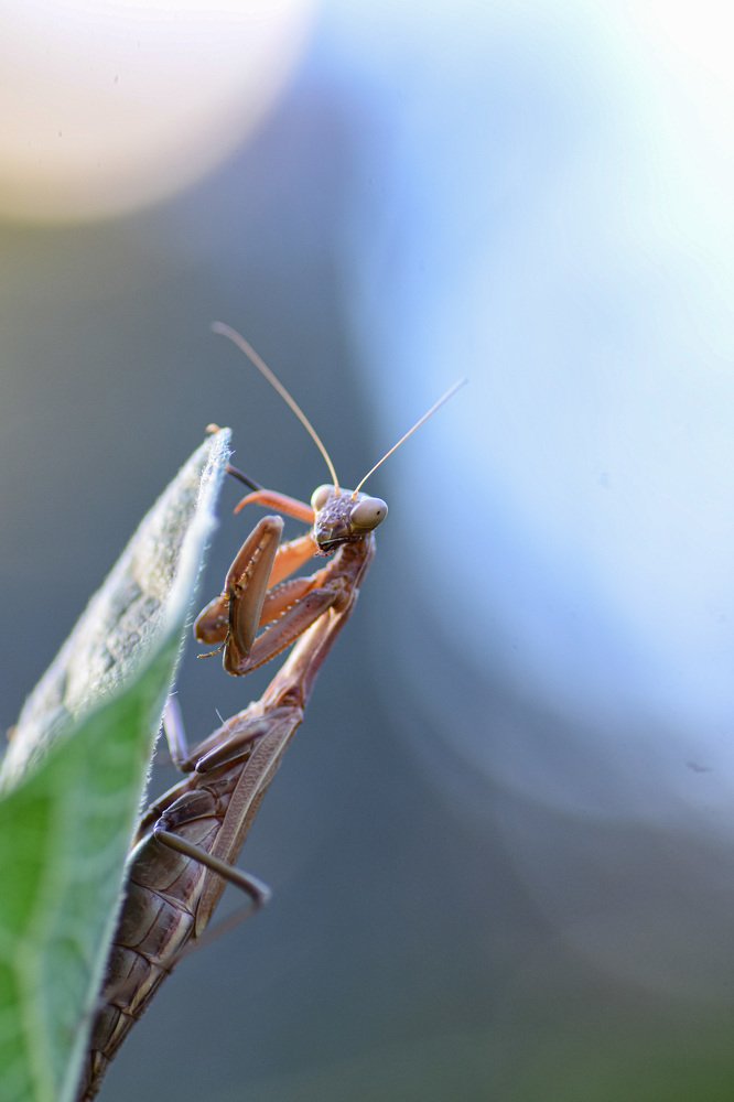 Photograph by Марина Згоник