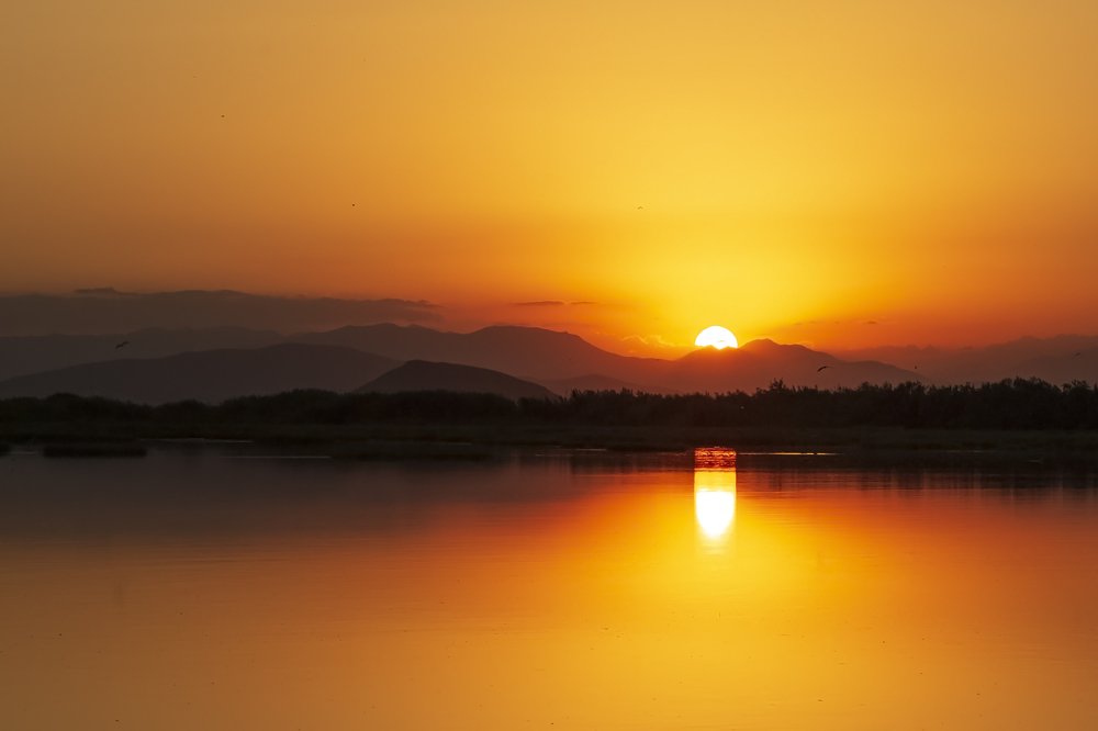 Photograph by Chia Hasankhali