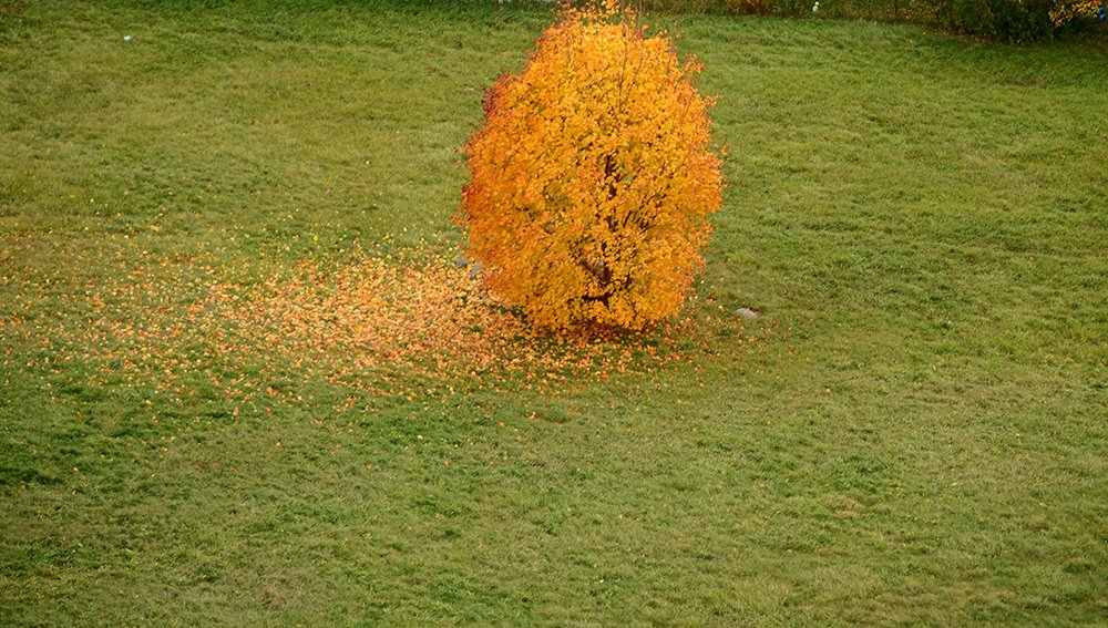 Photograph by Liliana Grup