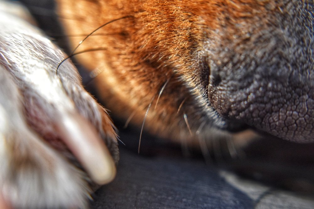 Photograph by Daniela