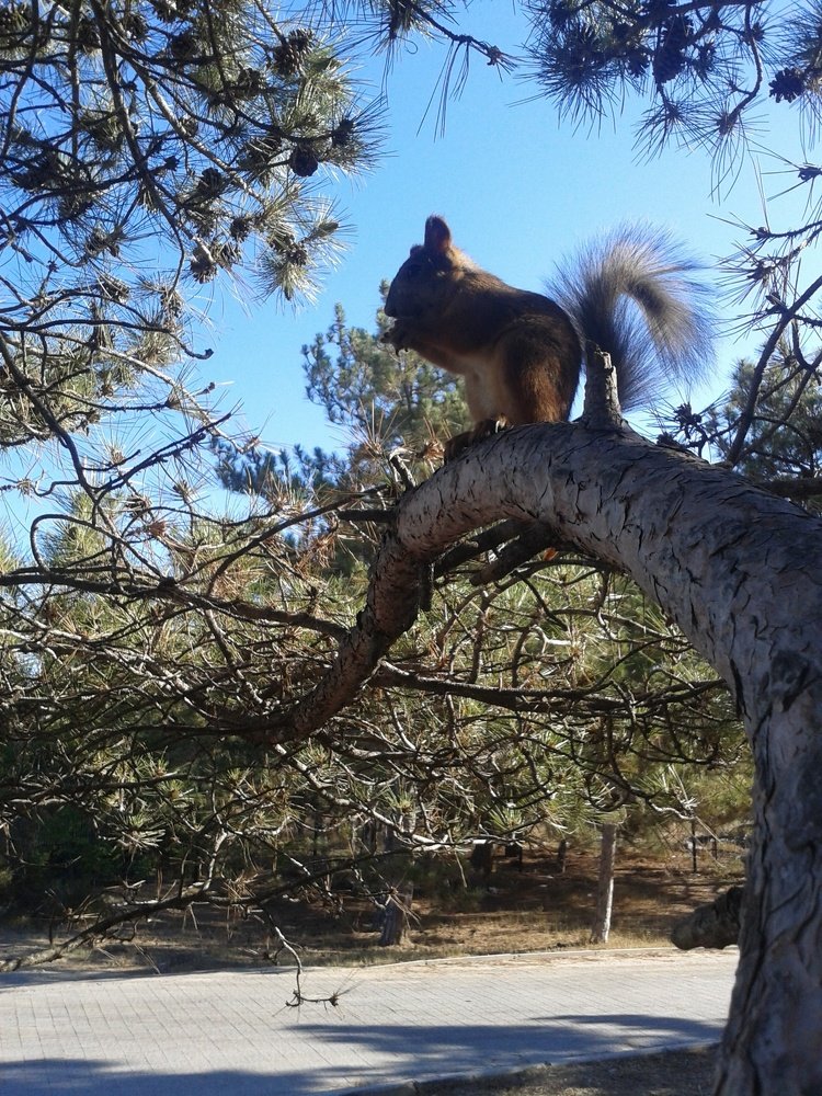 Photo #5044104