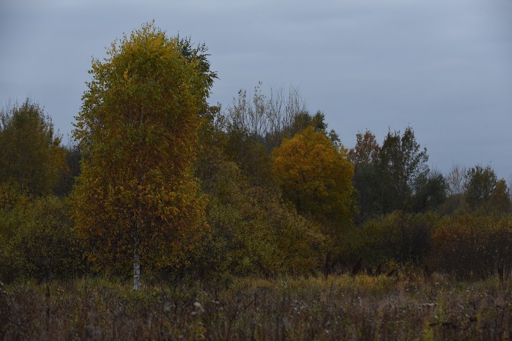 Photograph by Семен Батов