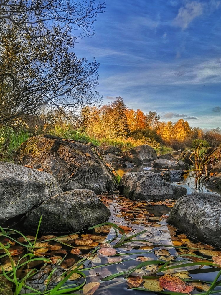 Осенняя сказка.