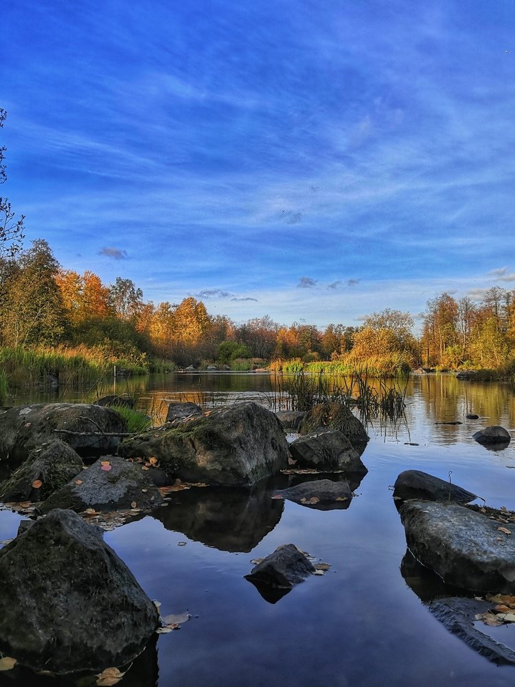 Фотография автора Галина Павлова