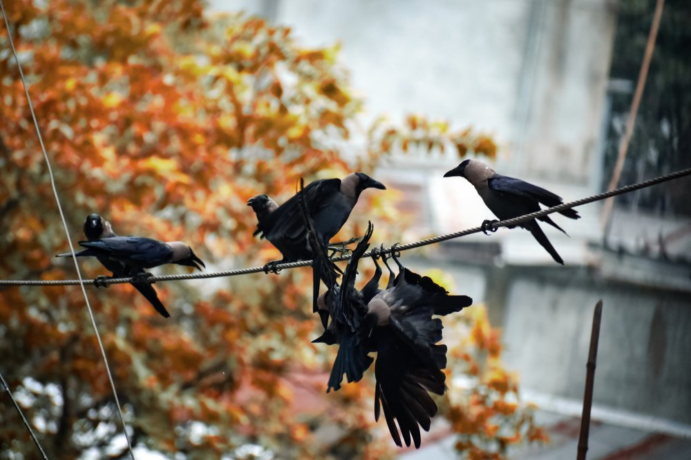 Photograph by Shariful Islam Rishad